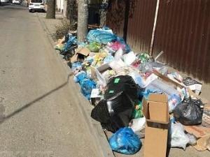 ОНФ попросил прокуратуру помочь в решении мусорной проблемы под Краснодаром v.jpg